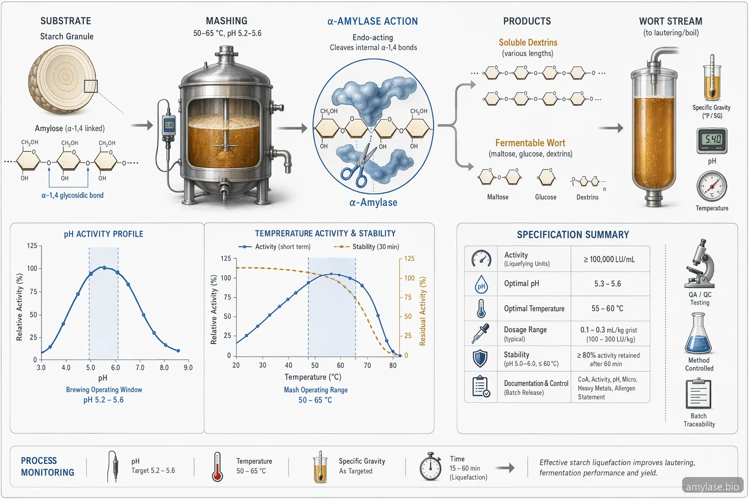 alpha amylase enzyme brewing specification checklist process diagram showing starch hydrolysis to dextrins with pH and temperature ranges