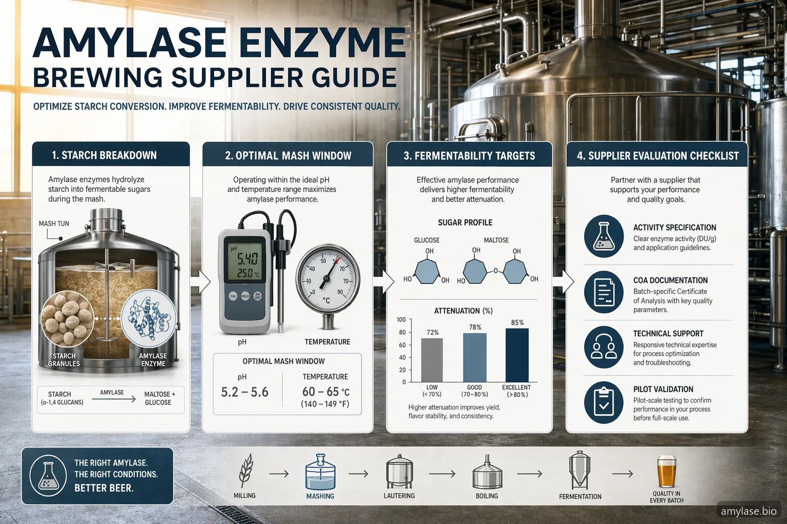 Amylase Enzyme Brewing: Practical Supplier Guide for Breweries — at-a-glance summary
