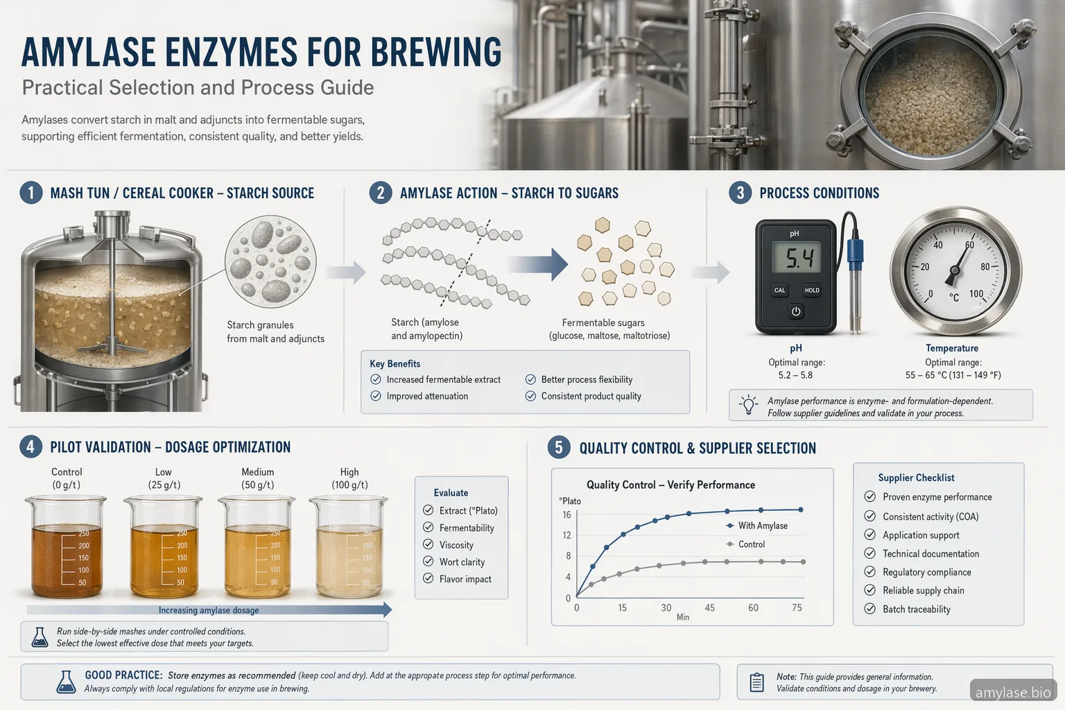 Amylase Enzyme for Brewing: Practical Selection and Process Guide — at-a-glance summary